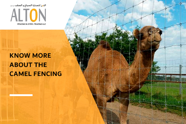 Know more About the Camel Fencing