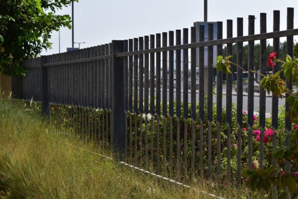 A metal fence with vertical bars stands in front of a concrete wall. In the foreground, there is grass and pink flowering plants, with an urban setting and a paved road in the background.